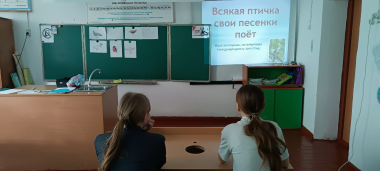 Международный день птиц.